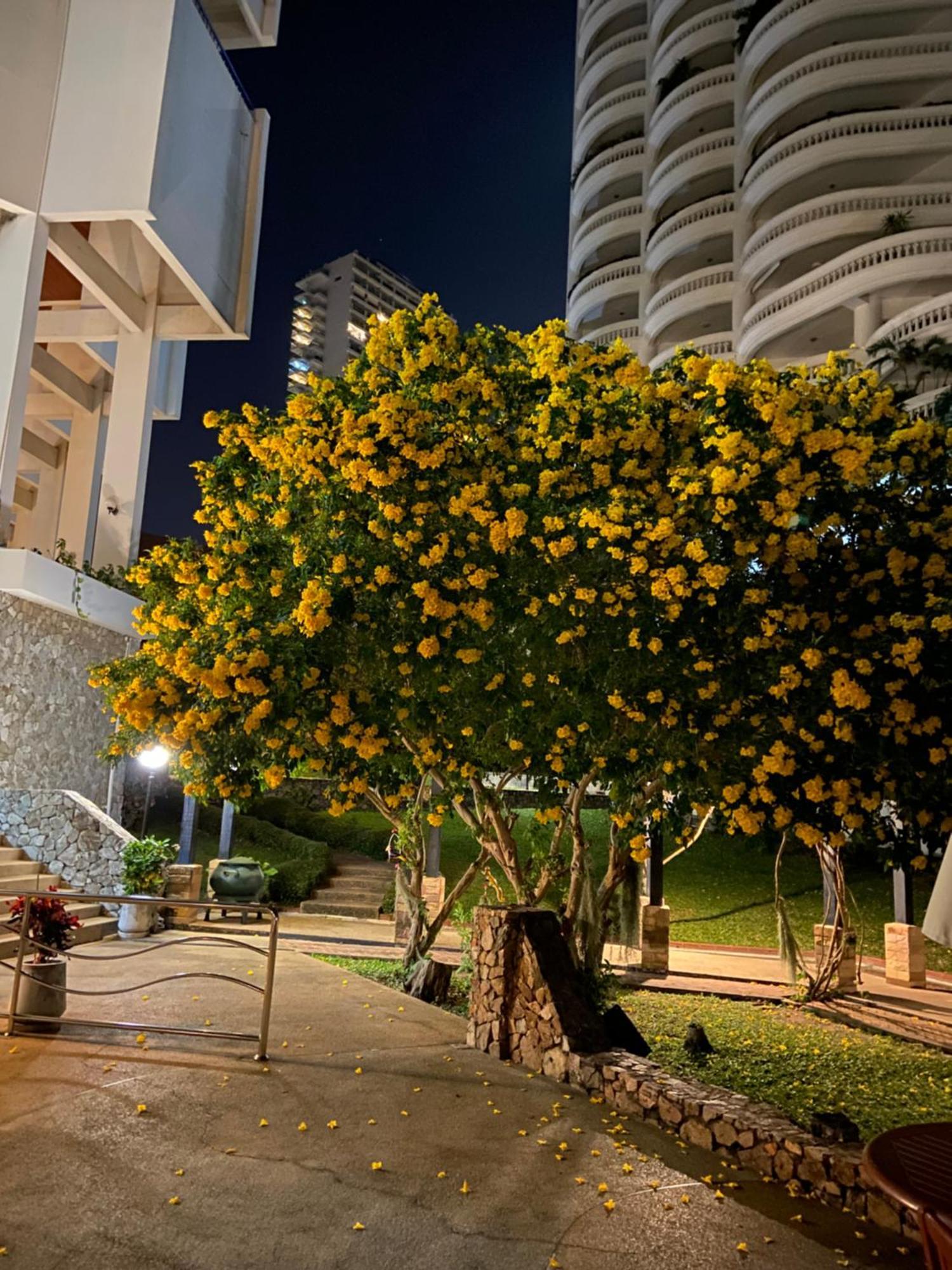 Amazing Spacious Seaview Pattaya